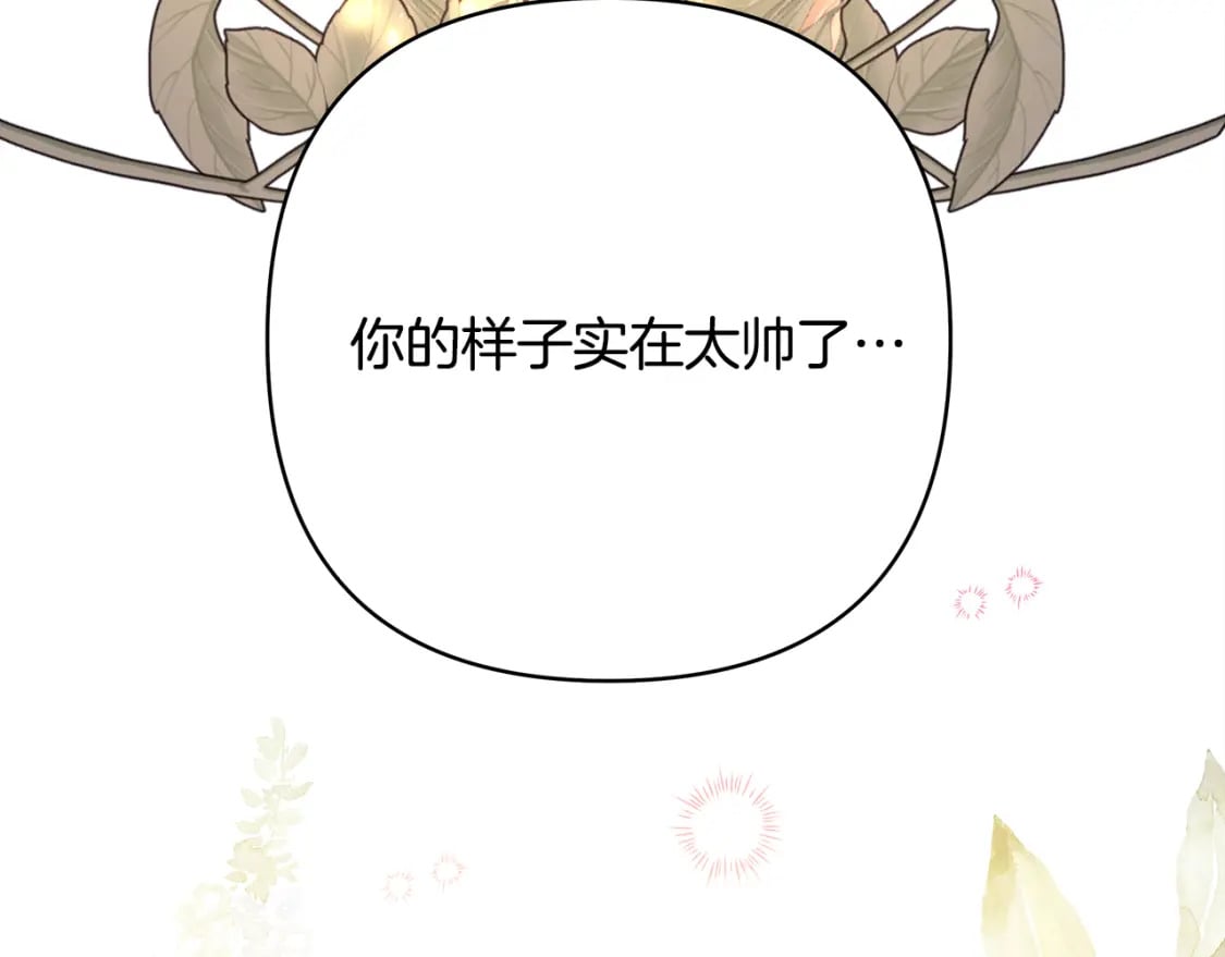 番外二 希维亚与卡利普斯（佩鲁斯父母）下62
