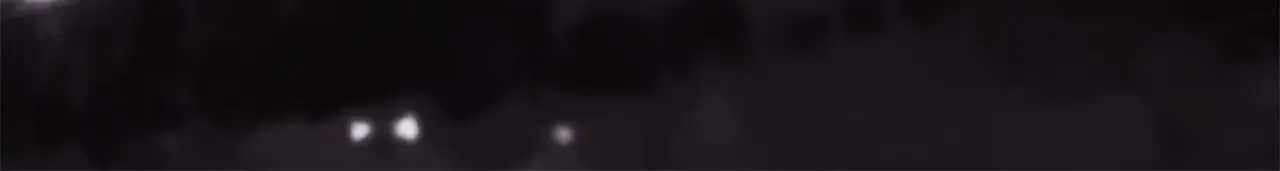 第101话 神官的祝福178