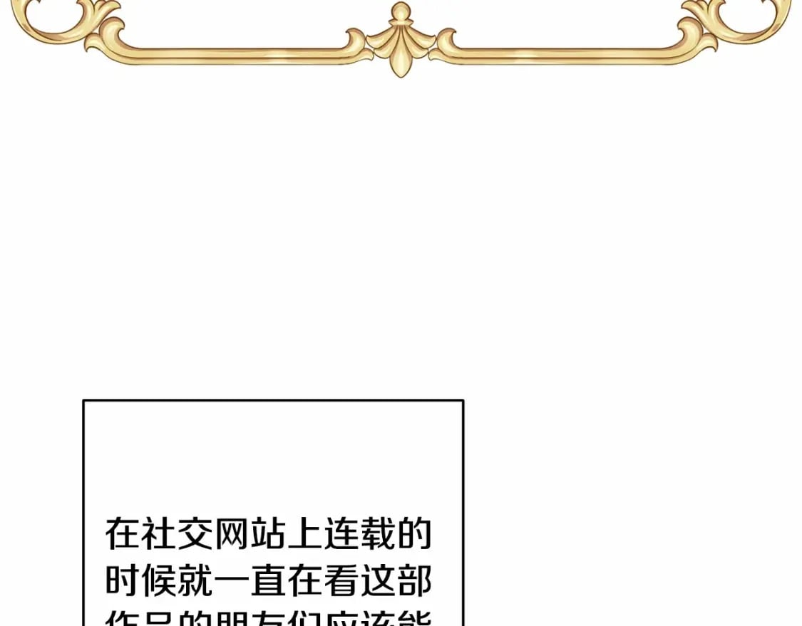 迟来的后记：作者创作心路历程揭秘！244
