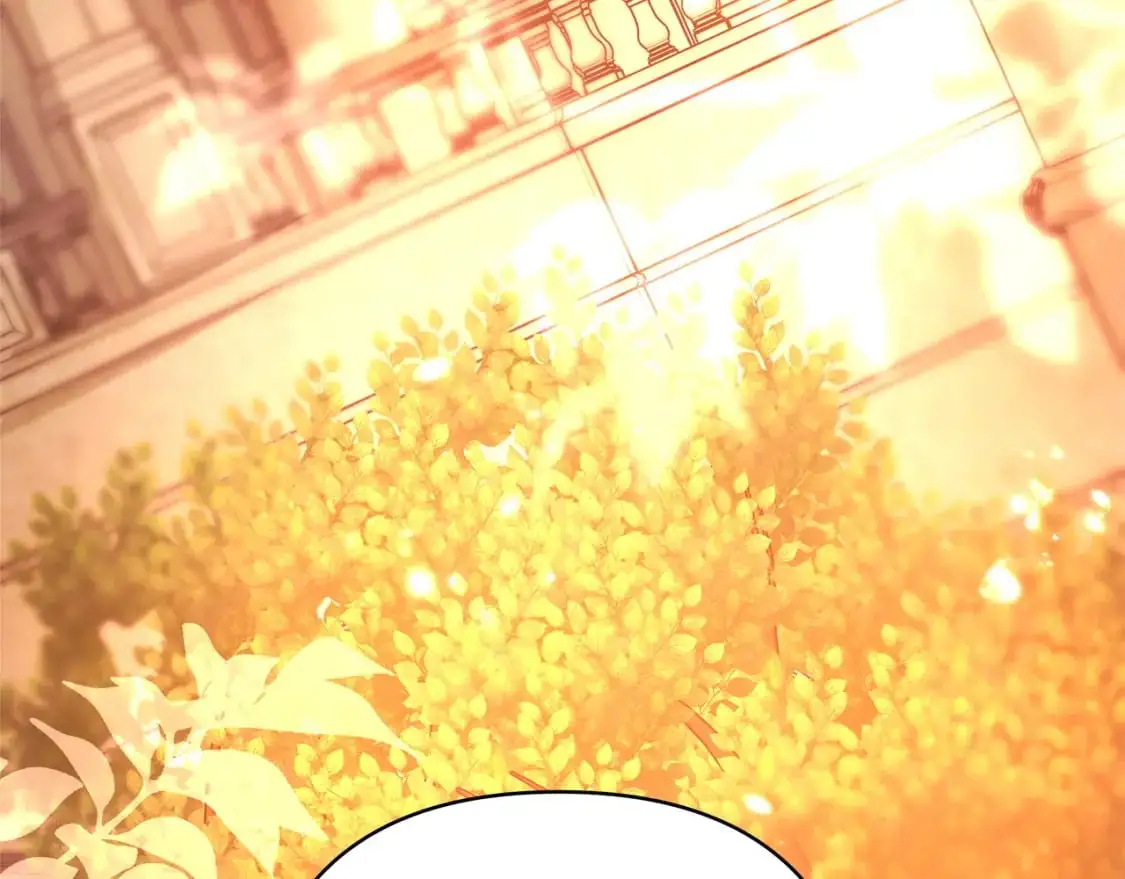 第89话 家人的礼物214