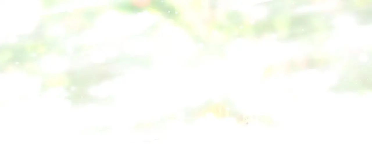 第101话 神官的祝福71
