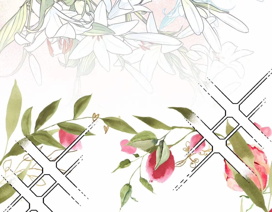 迟来的后记：作者创作心路历程揭秘！312