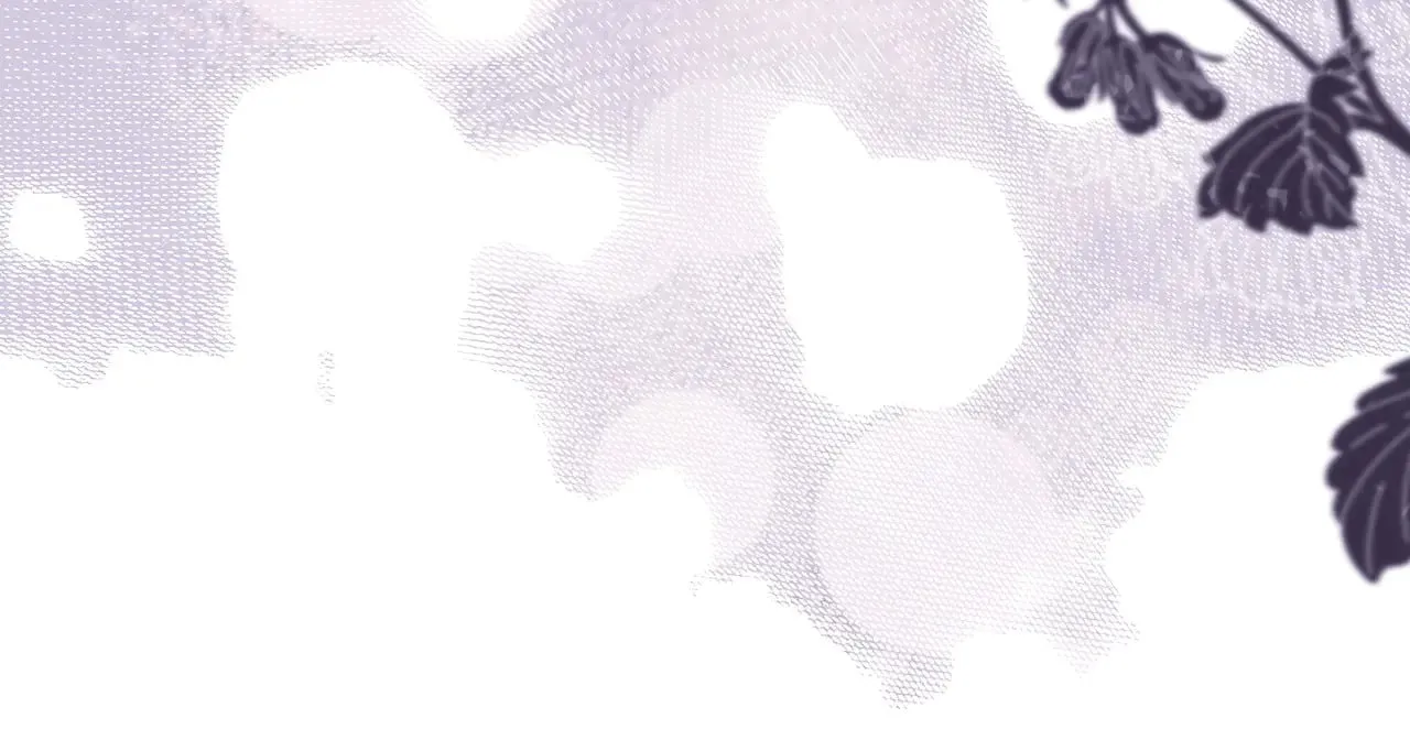 第104话 另一个莫妮莱69