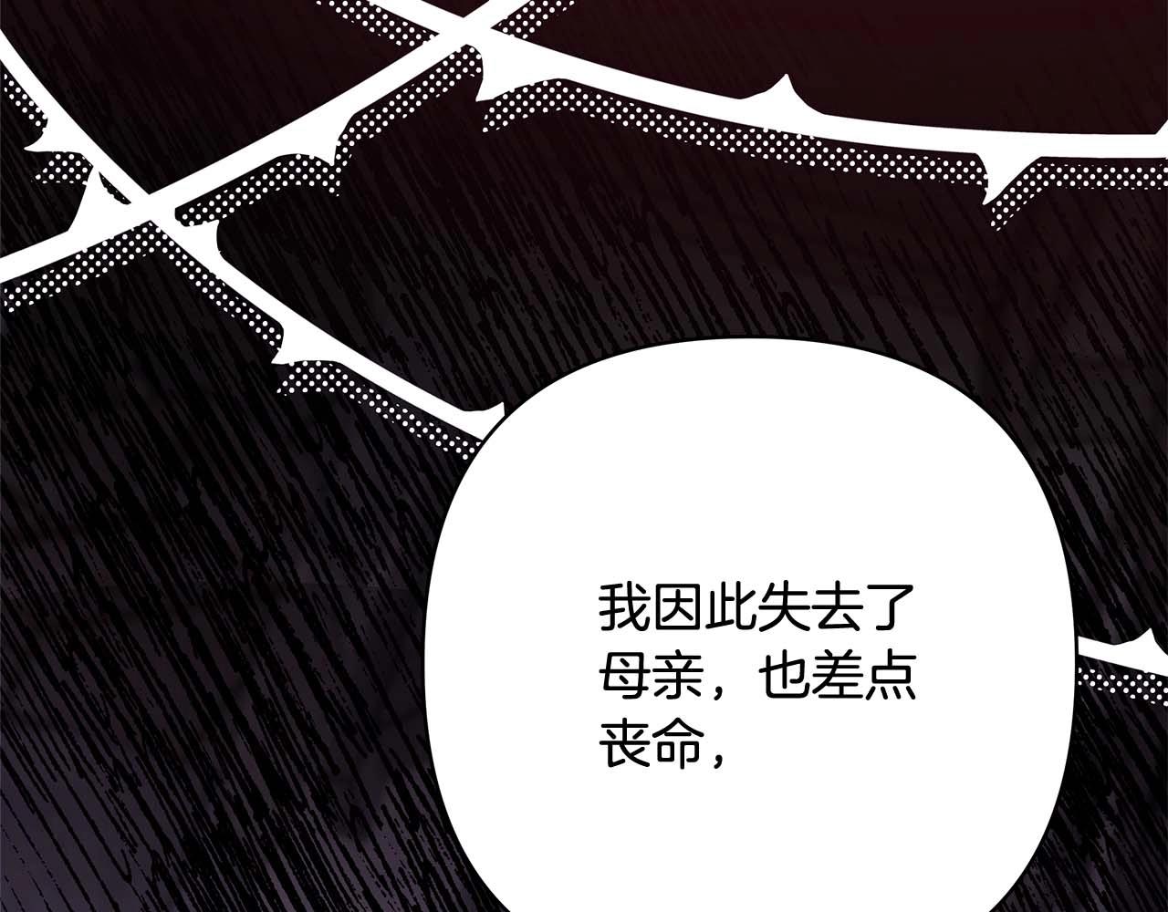 第37话 北方大熊vs兔子夫人263