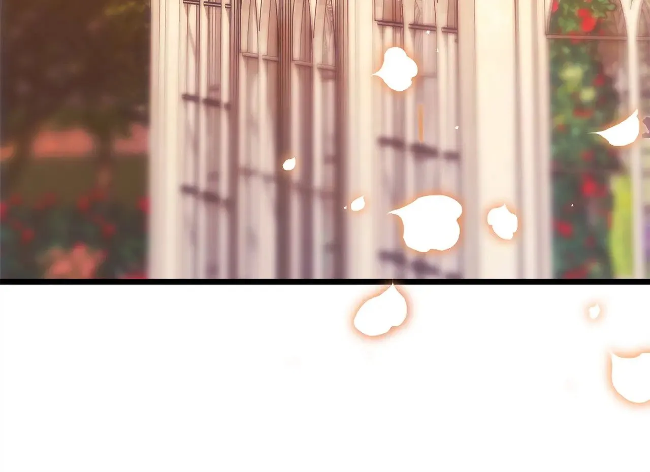 第101话 神官的祝福36