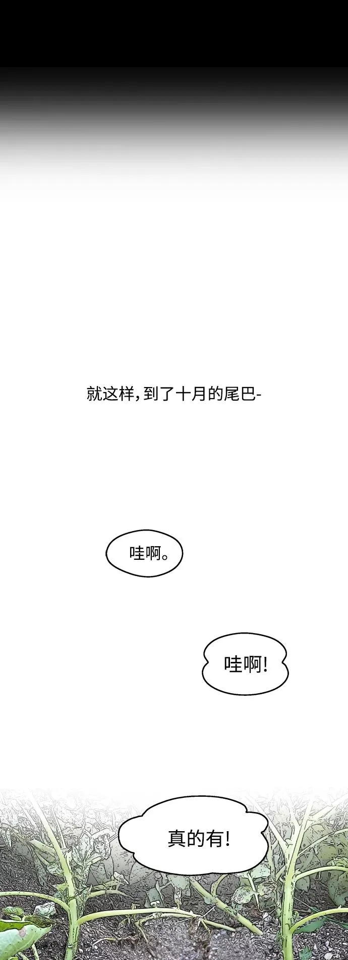 结语1