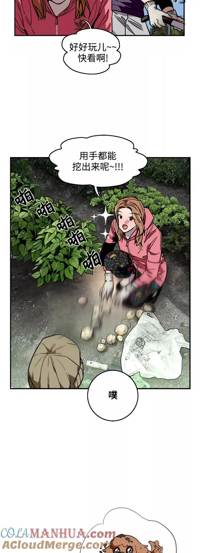 结语3