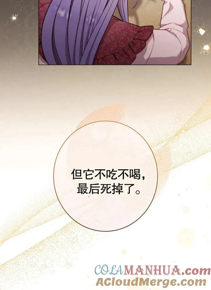 第19话8