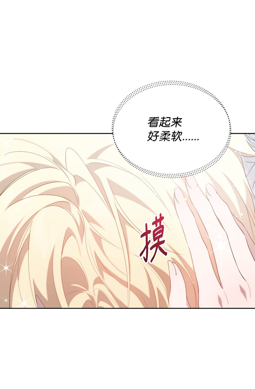 33 婚前协议63