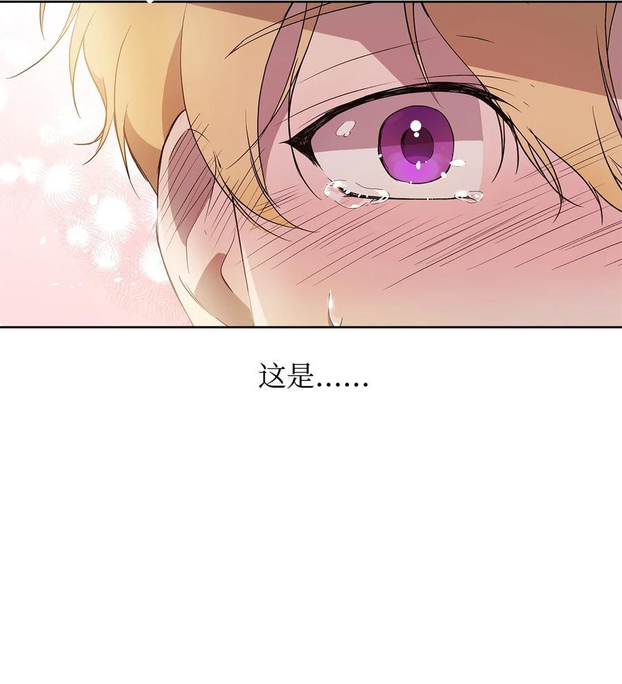 25 欲戴王冠，必承其重47