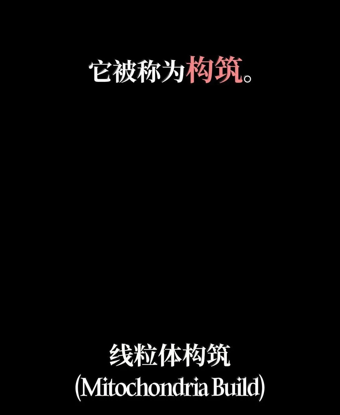 76 线粒体构筑29