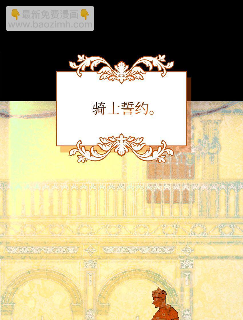 13 骑士誓约82