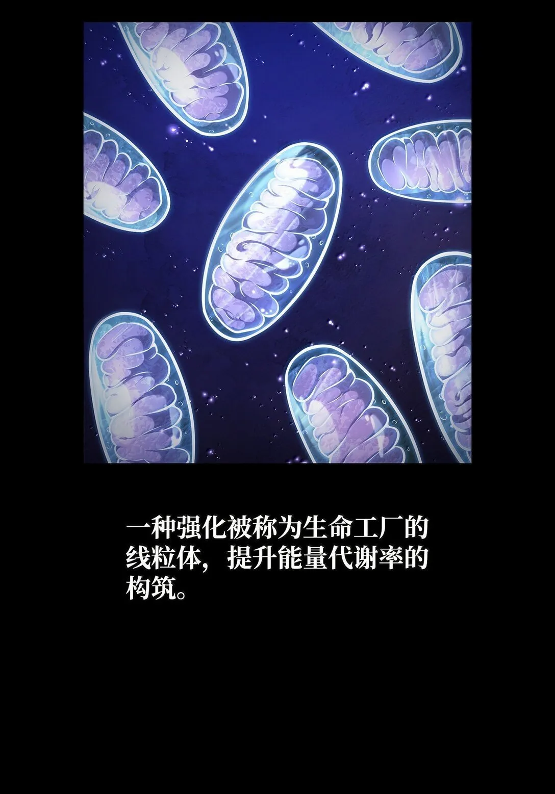 76 线粒体构筑30