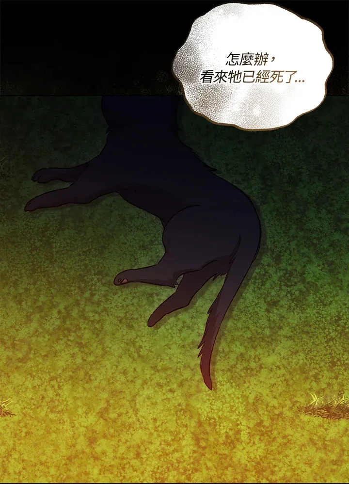 第31话29