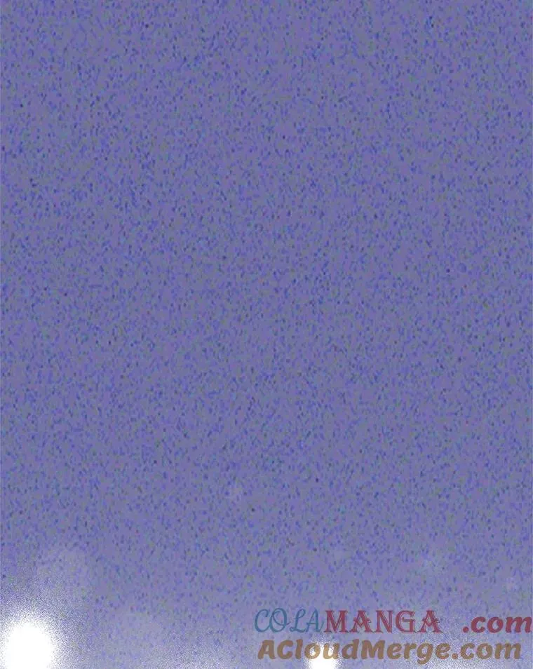 56.假银狐100