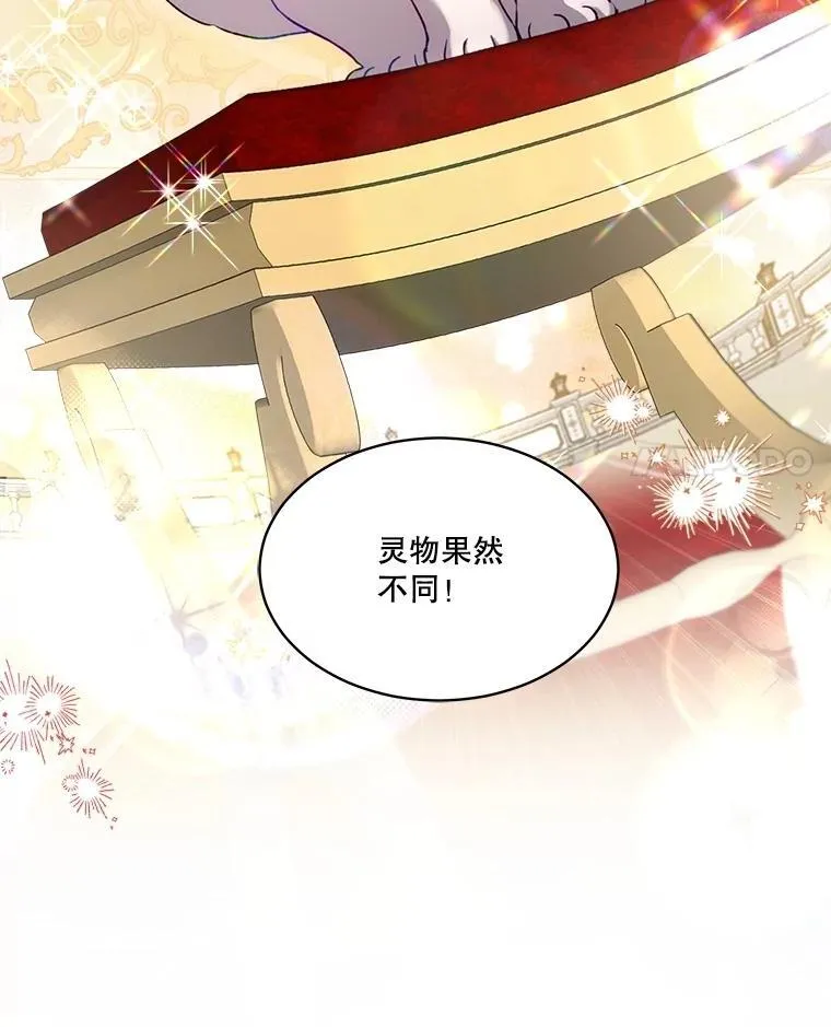 56.假银狐17