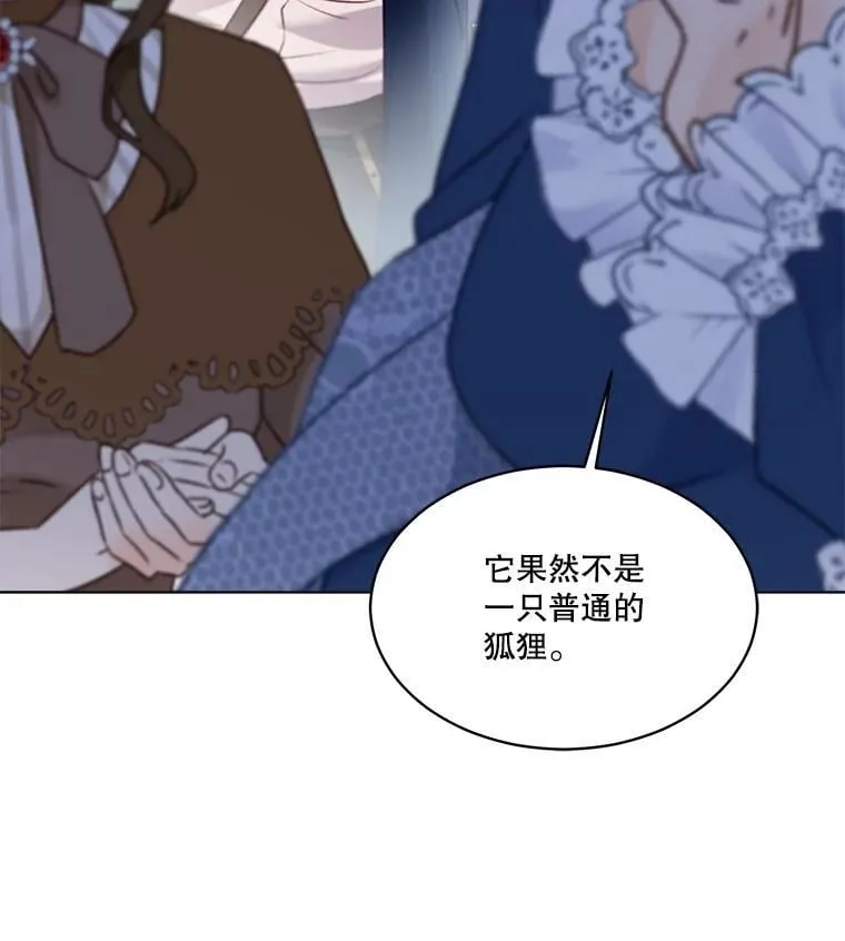 56.假银狐19