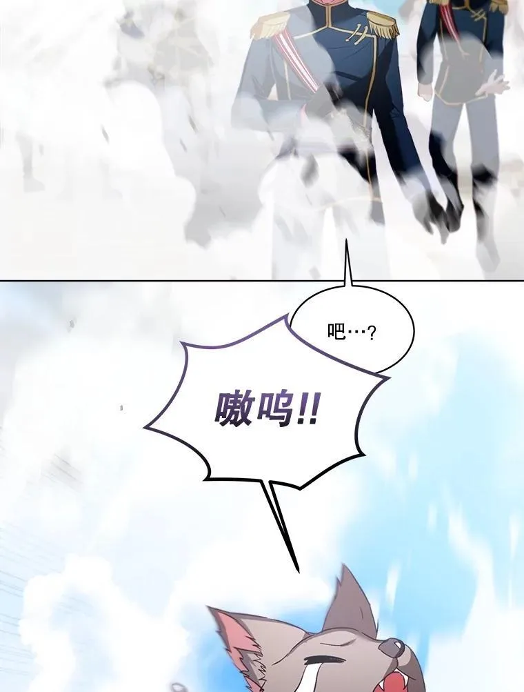 56.假银狐53