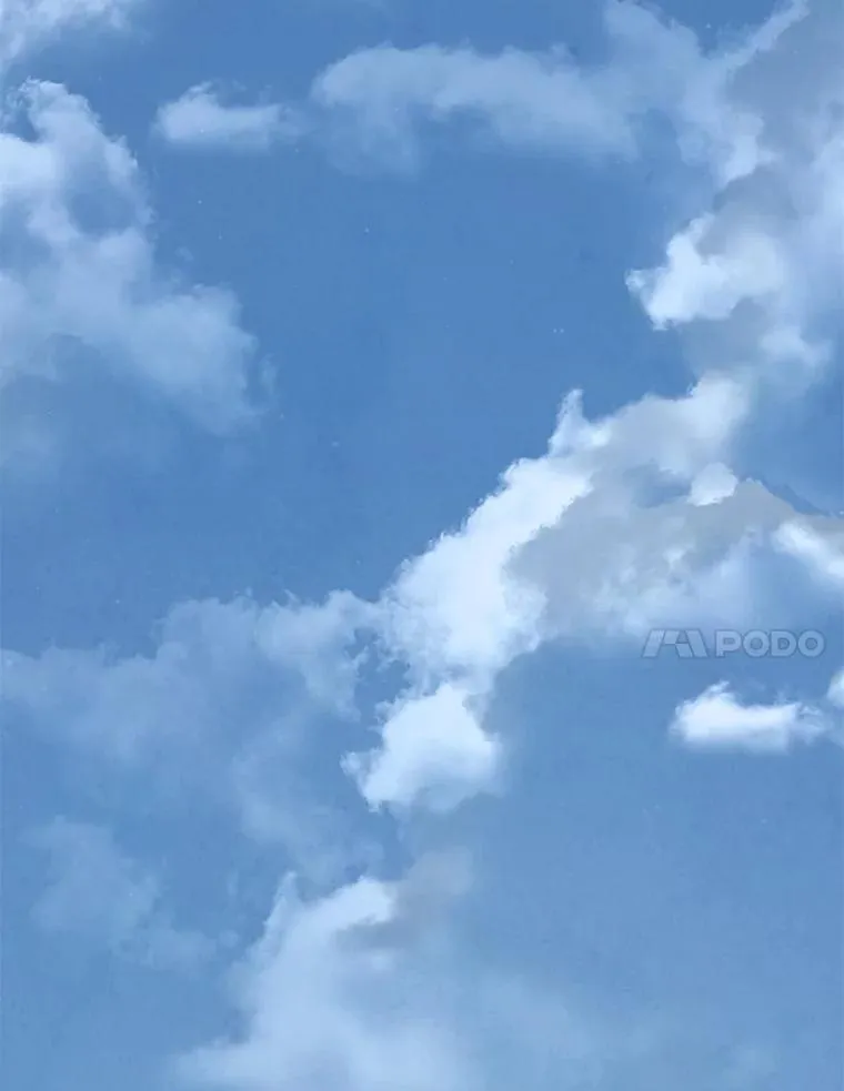 56.假银狐82