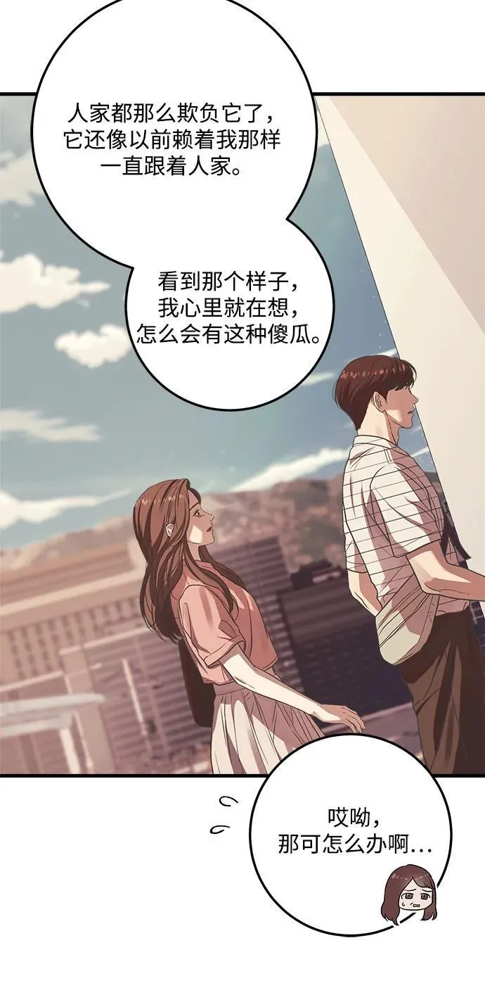 第13话9