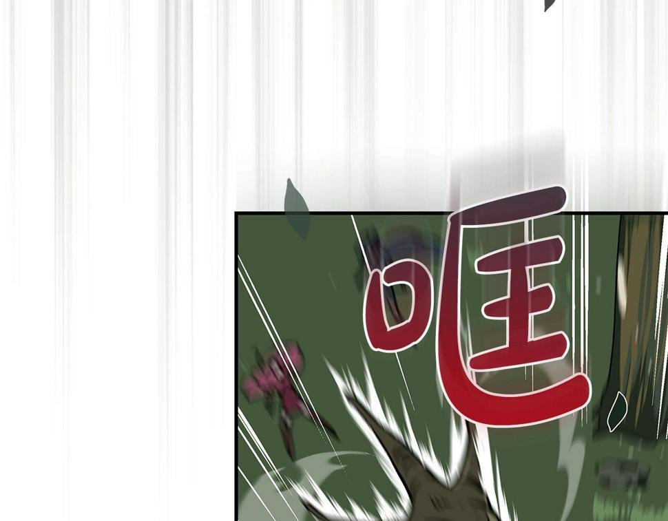 第36话 精灵引路146