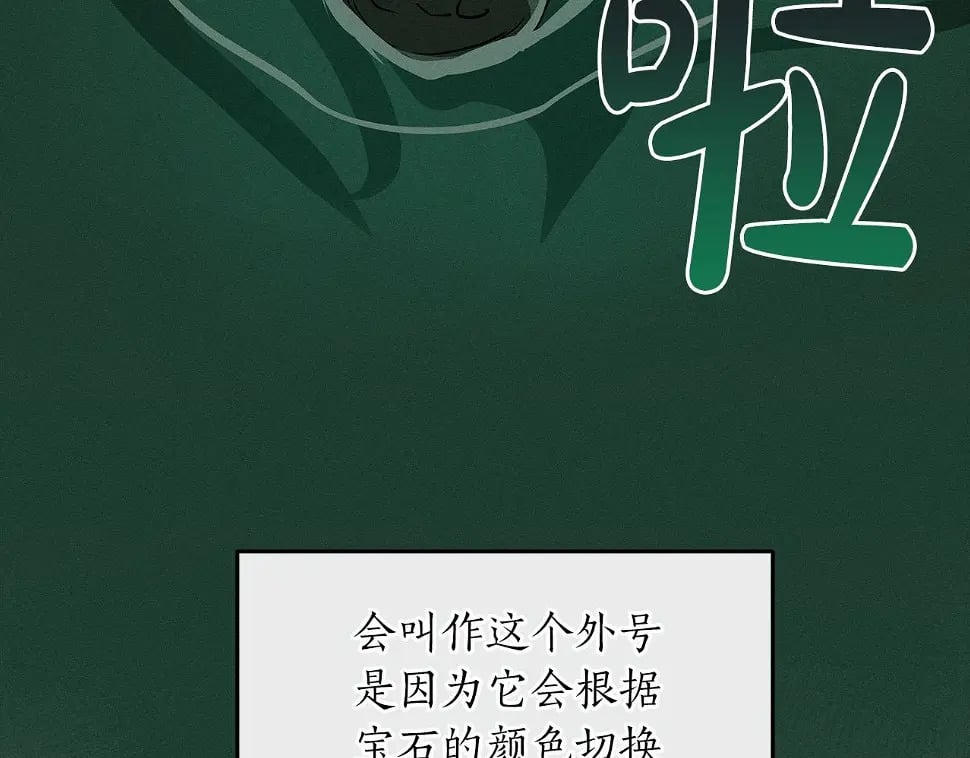第32话 开启直播190