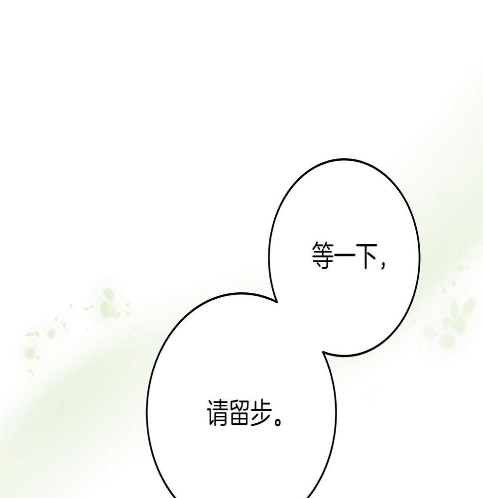 第36话 精灵引路166