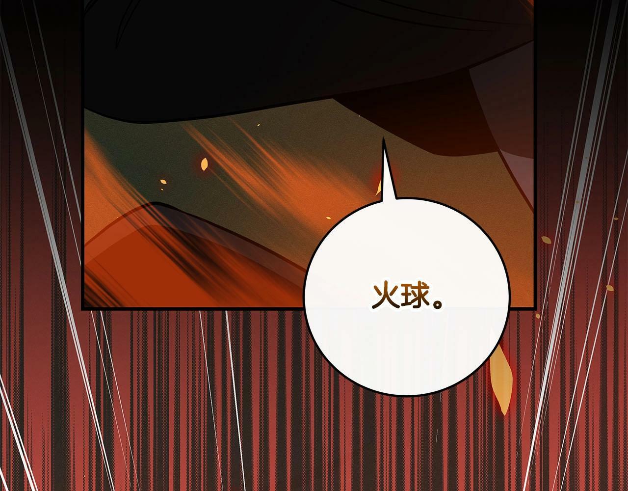 第55话 提取属性77