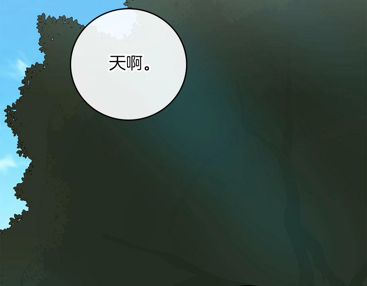 第55话 提取属性68