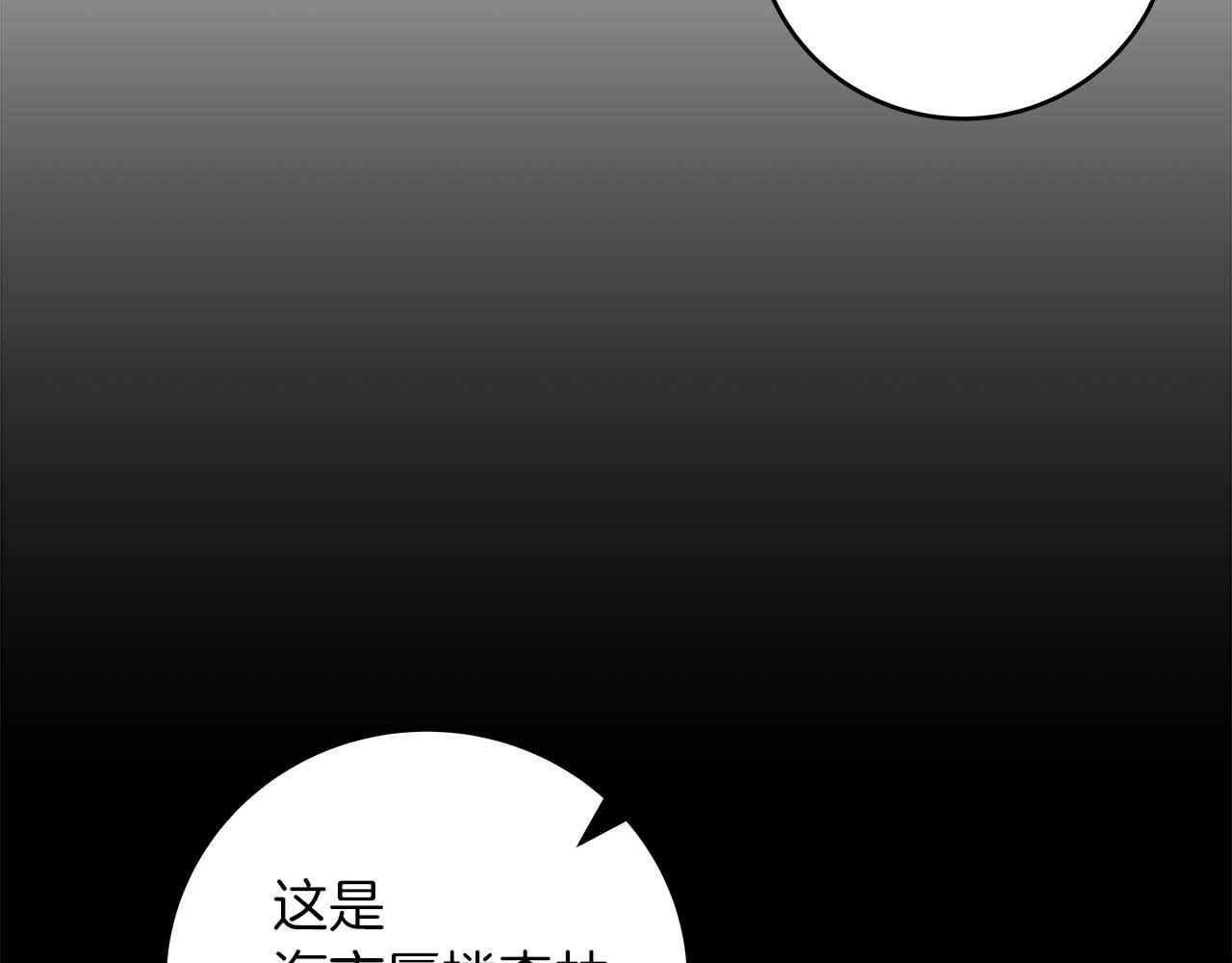 第61话 吞伽的白魔杖125