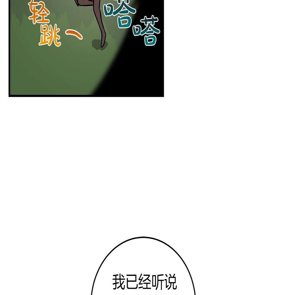 第36话 精灵引路176