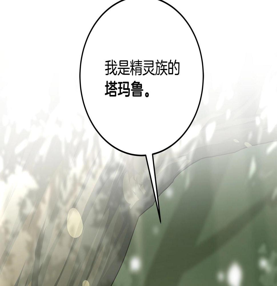第36话 精灵引路171