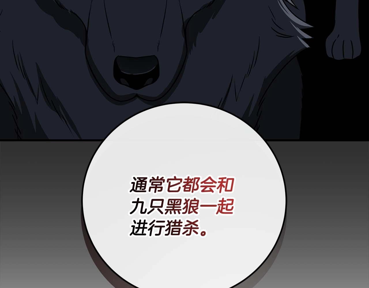 第70话 暗夜森林12