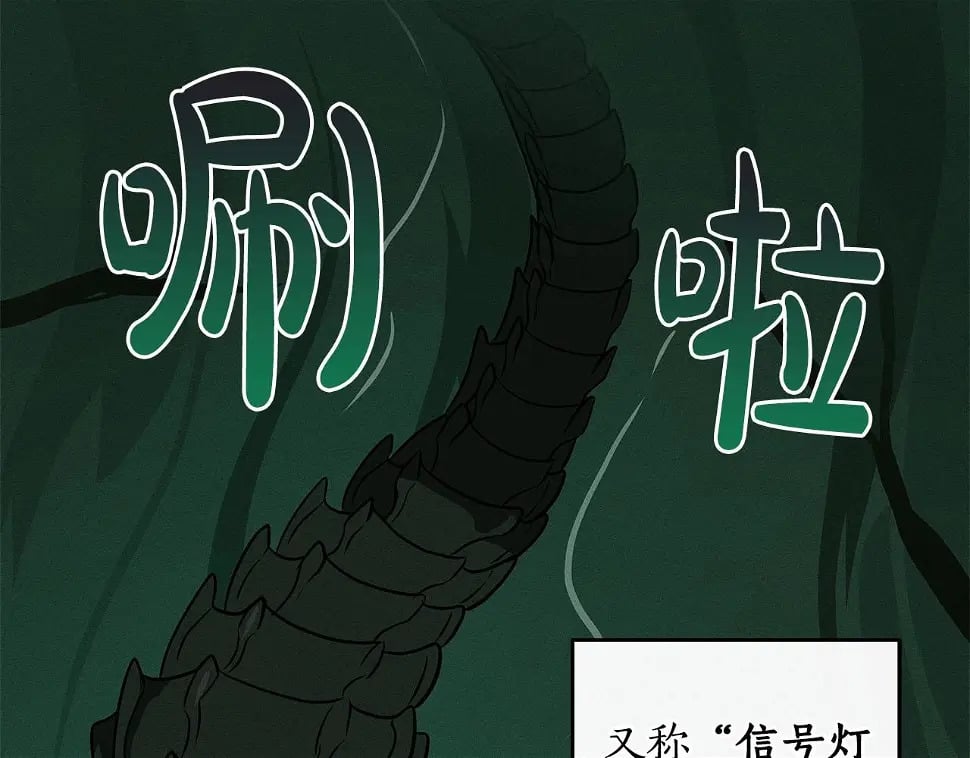 第32话 开启直播186