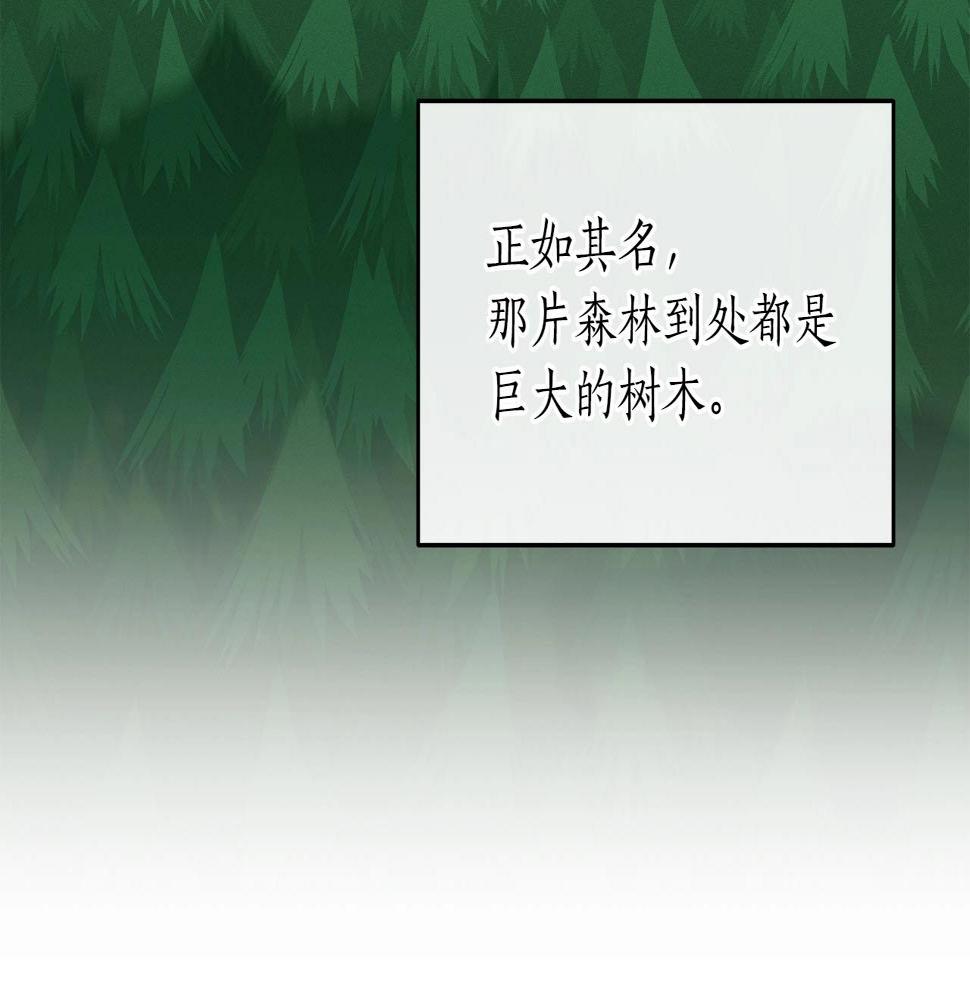 第36话 精灵引路81