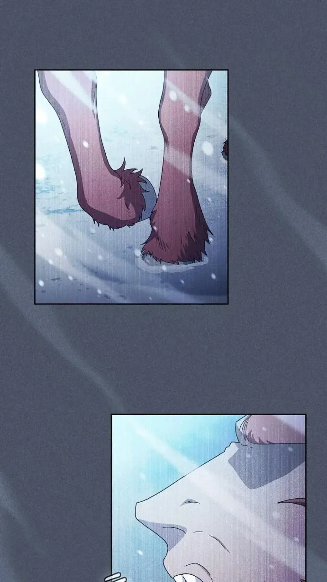 第46话5