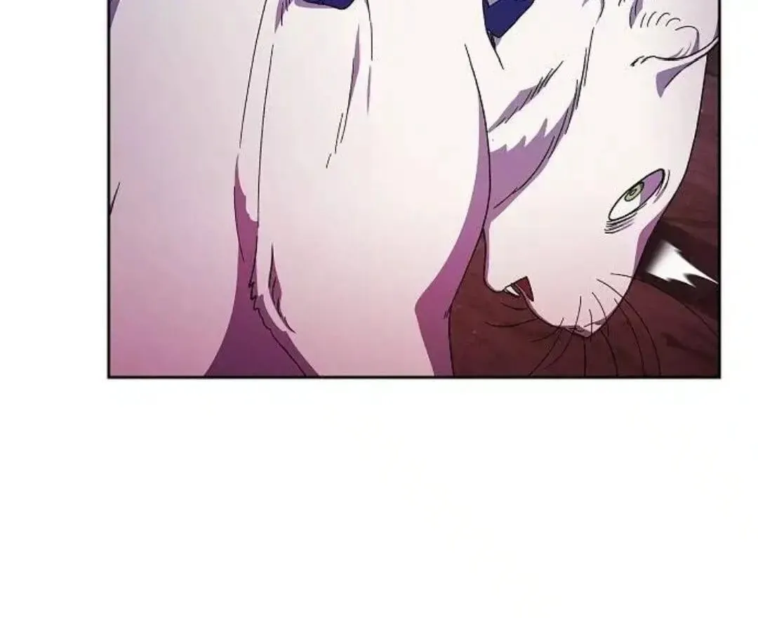 第54话17