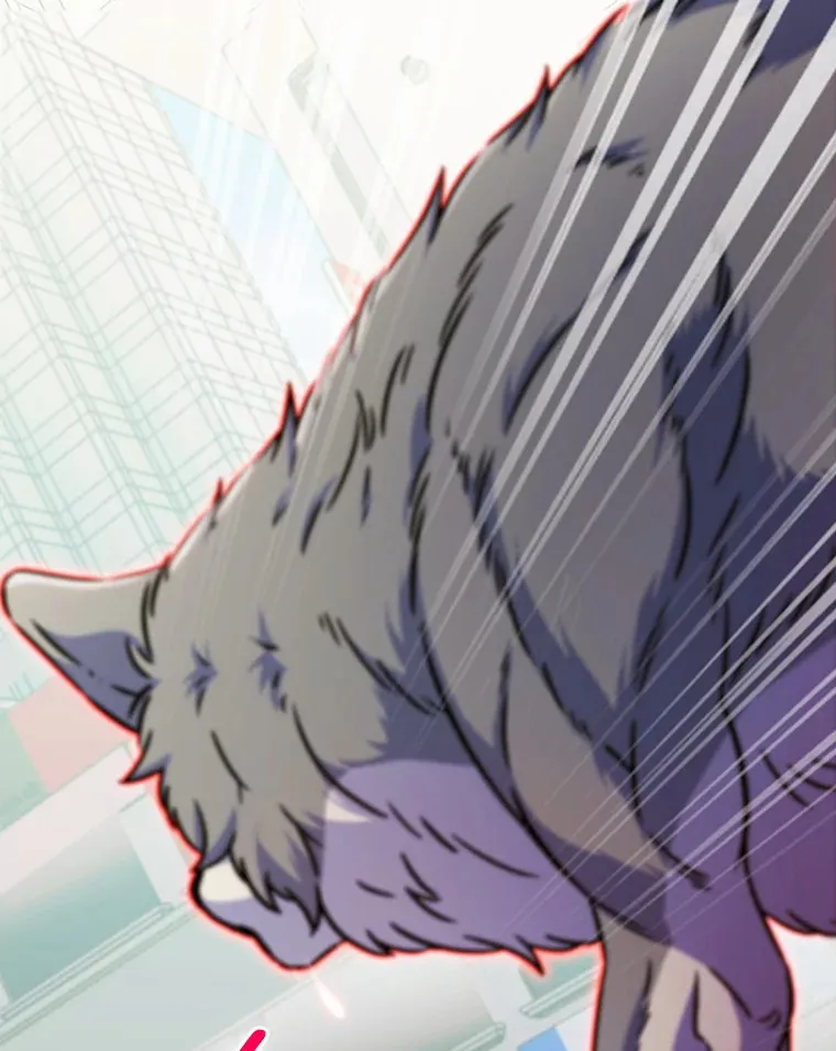 9.大战狼群162