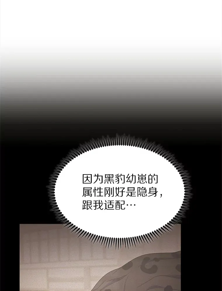 29.闪光冲击锥104