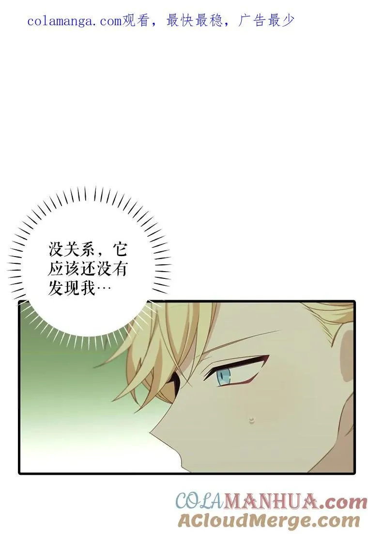 11.狩猎大会72