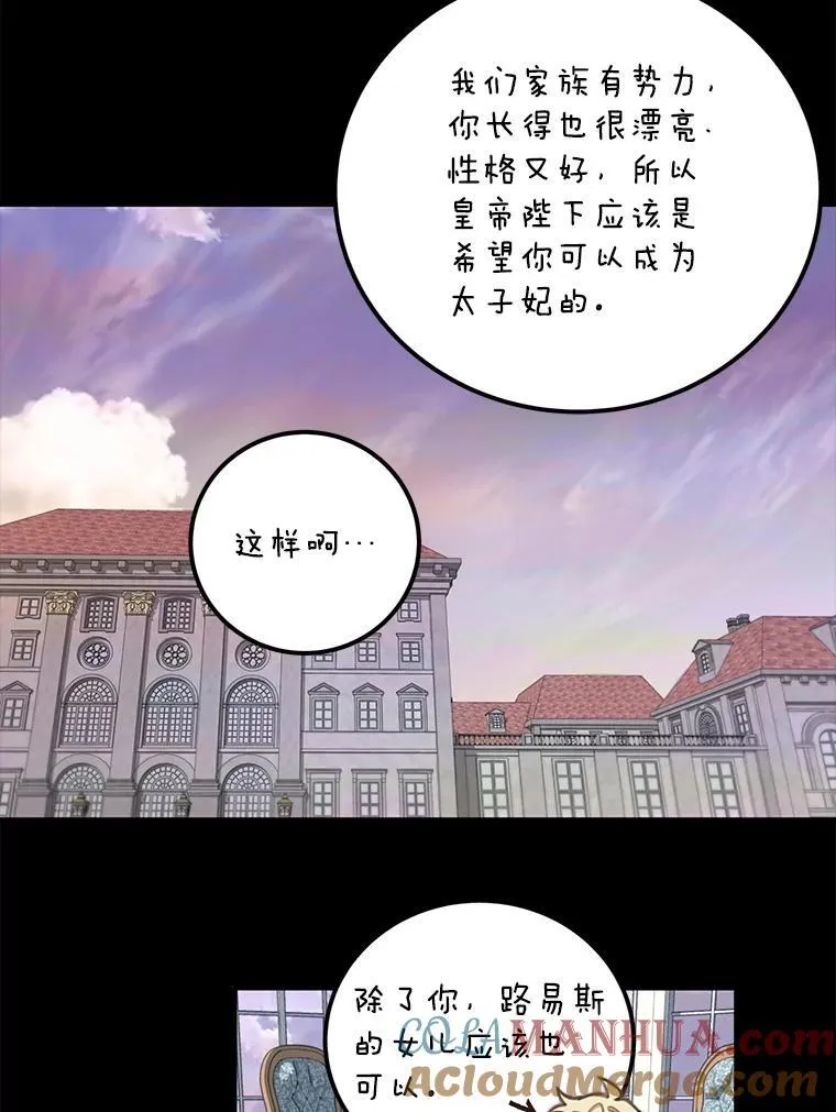 2.太子妃候选人33