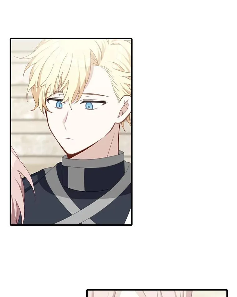 8.坦言8
