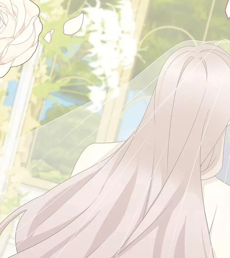 40.说服父亲88