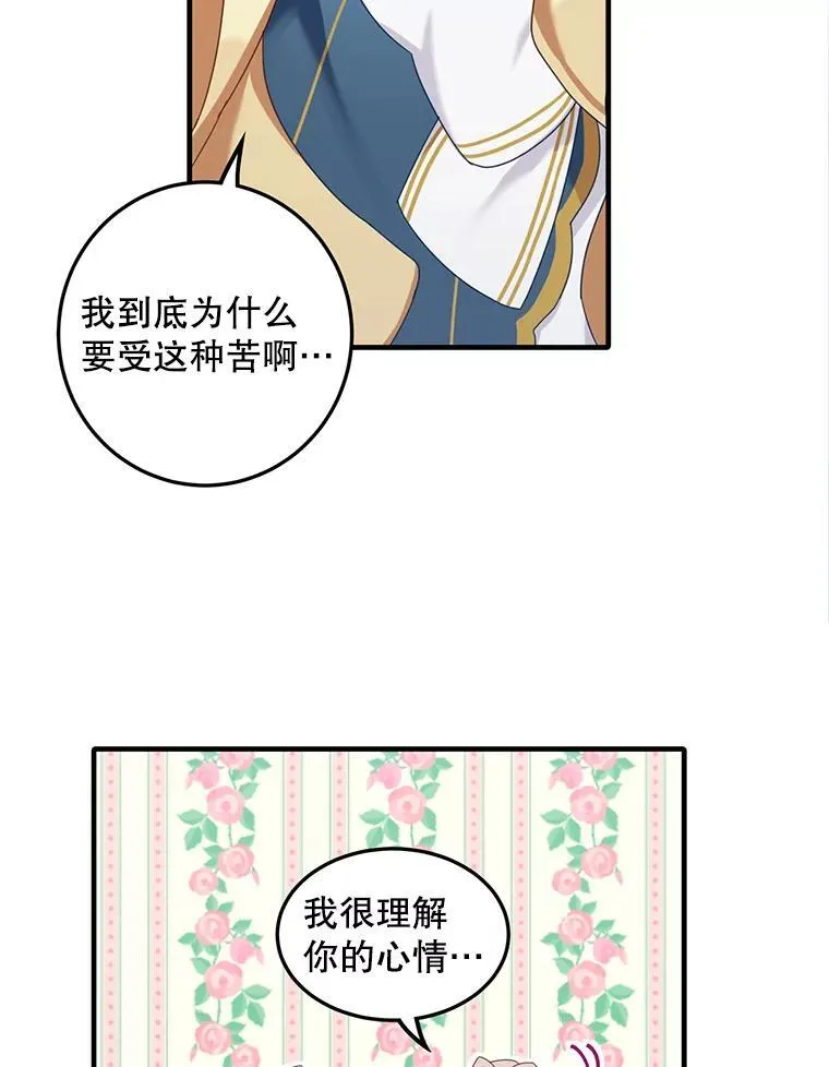 3.茶话会49