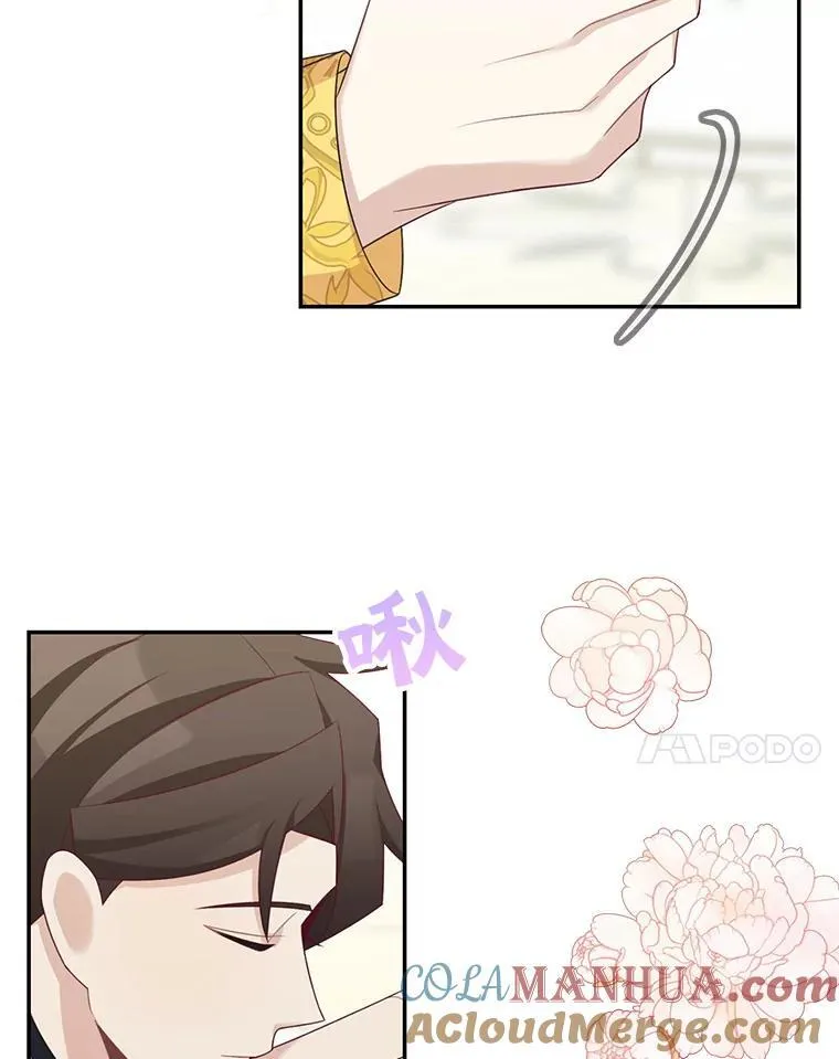 41.生日派对51