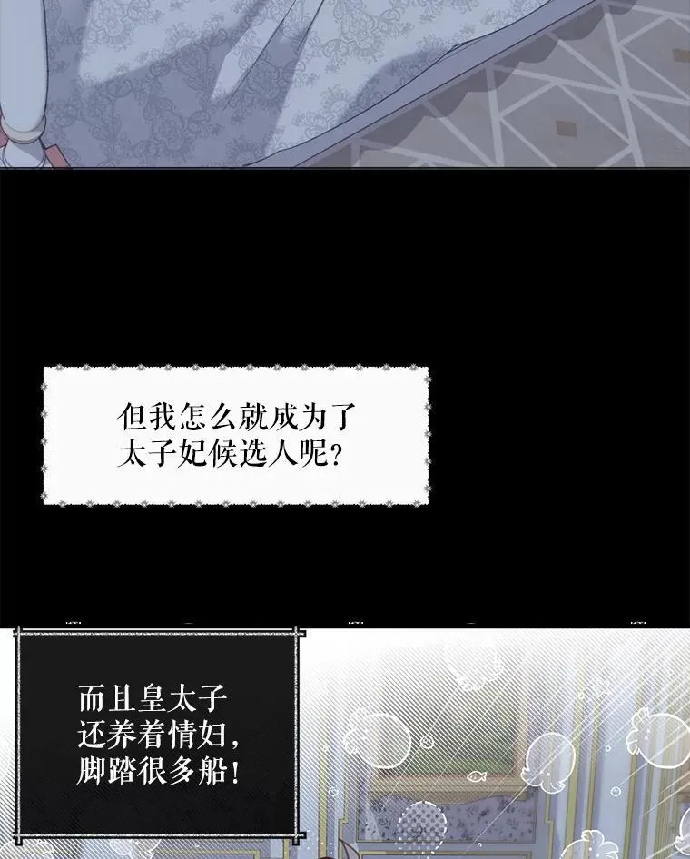 2.太子妃候选人53