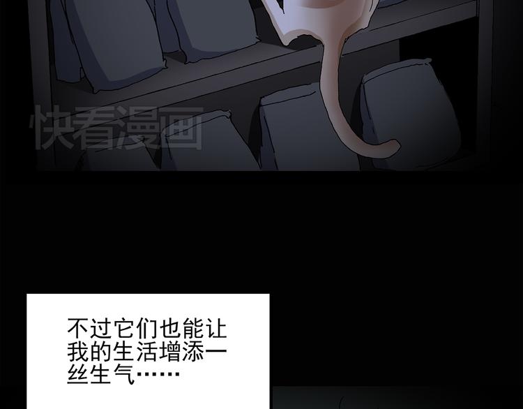 第31话 怪之猫（下）40
