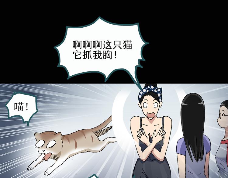 第28话 怪之猫(上)18