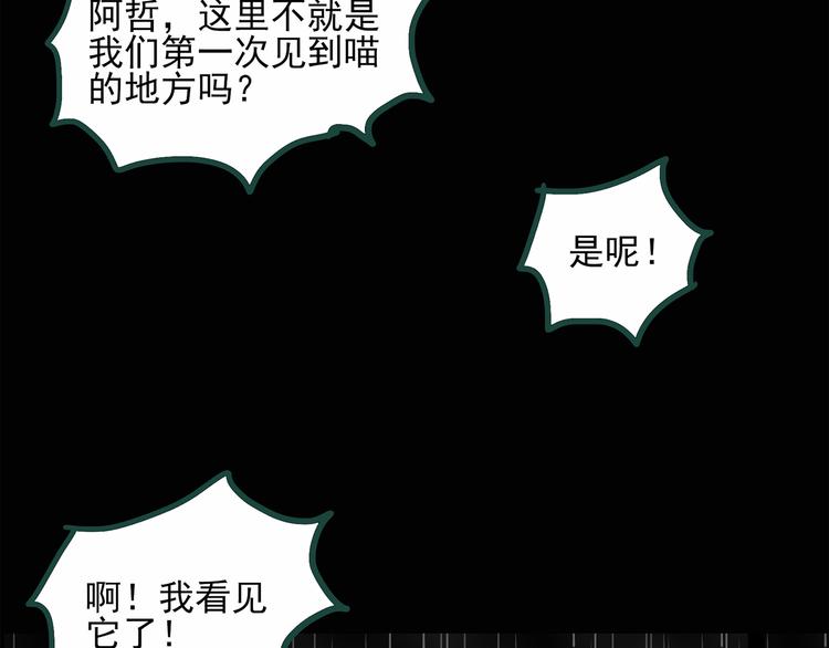 第31话 怪之猫（下）5