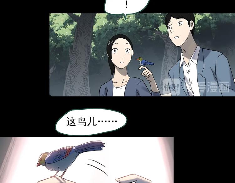 第360话 VR愿78